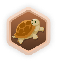 Jackpot badge box