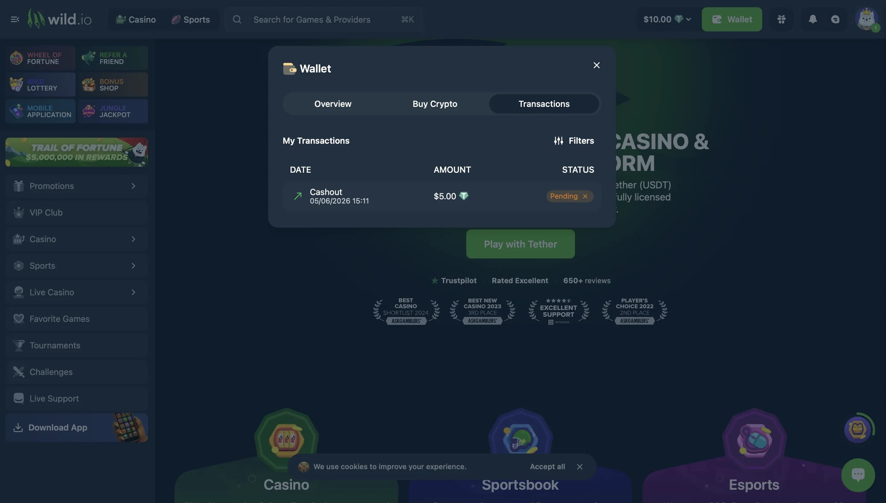 Wild.io wallet transactions page displaying a pending USDT withdrawal with amount, timestamp, and status indicator. 