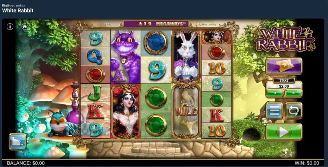 White Rabbit slot game screen on Wild.io with reels, symbols, and controls visible