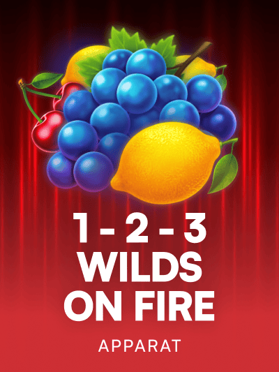 Game image for 1-2-3 Wilds on Fire