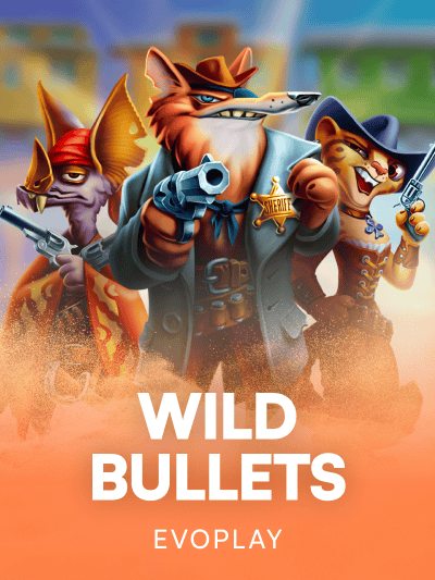 Game image for Wild Bullets