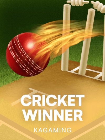 Game image for Cricket Winner