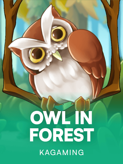 Game image for Owl In Forest