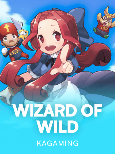 Game image for Wizard of Wild
