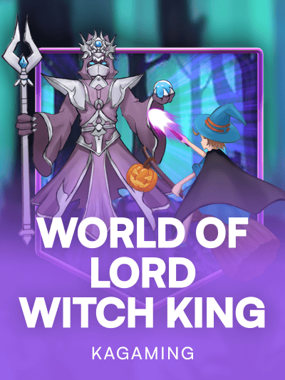 Game image for World of Lord Witch King