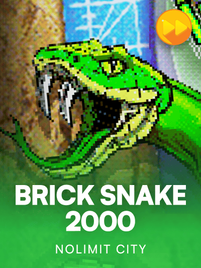 Game image for BRICK SNAKE 2000