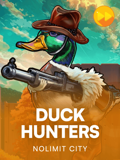 Game image for Duck Hunters