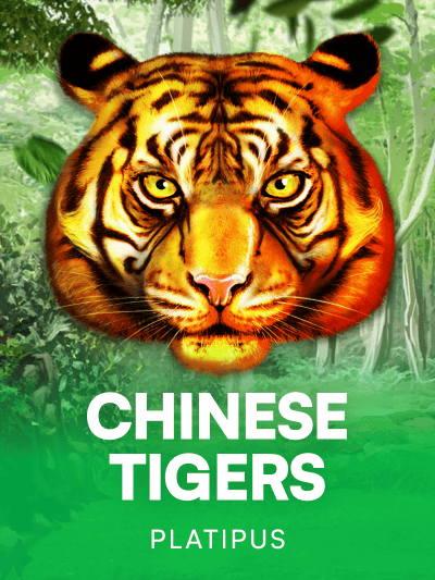 Game image for Chinese Tigers