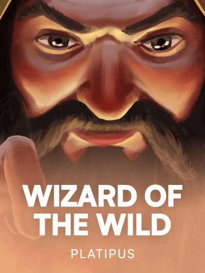 Game image for Wizard of the Wild
