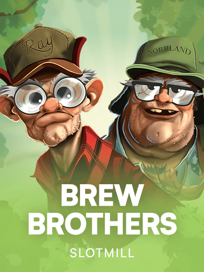 Game image for Brew Brothers